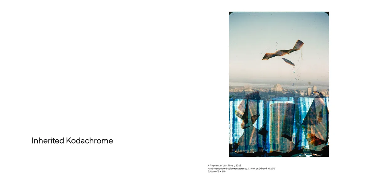 Material Witness, spread 5