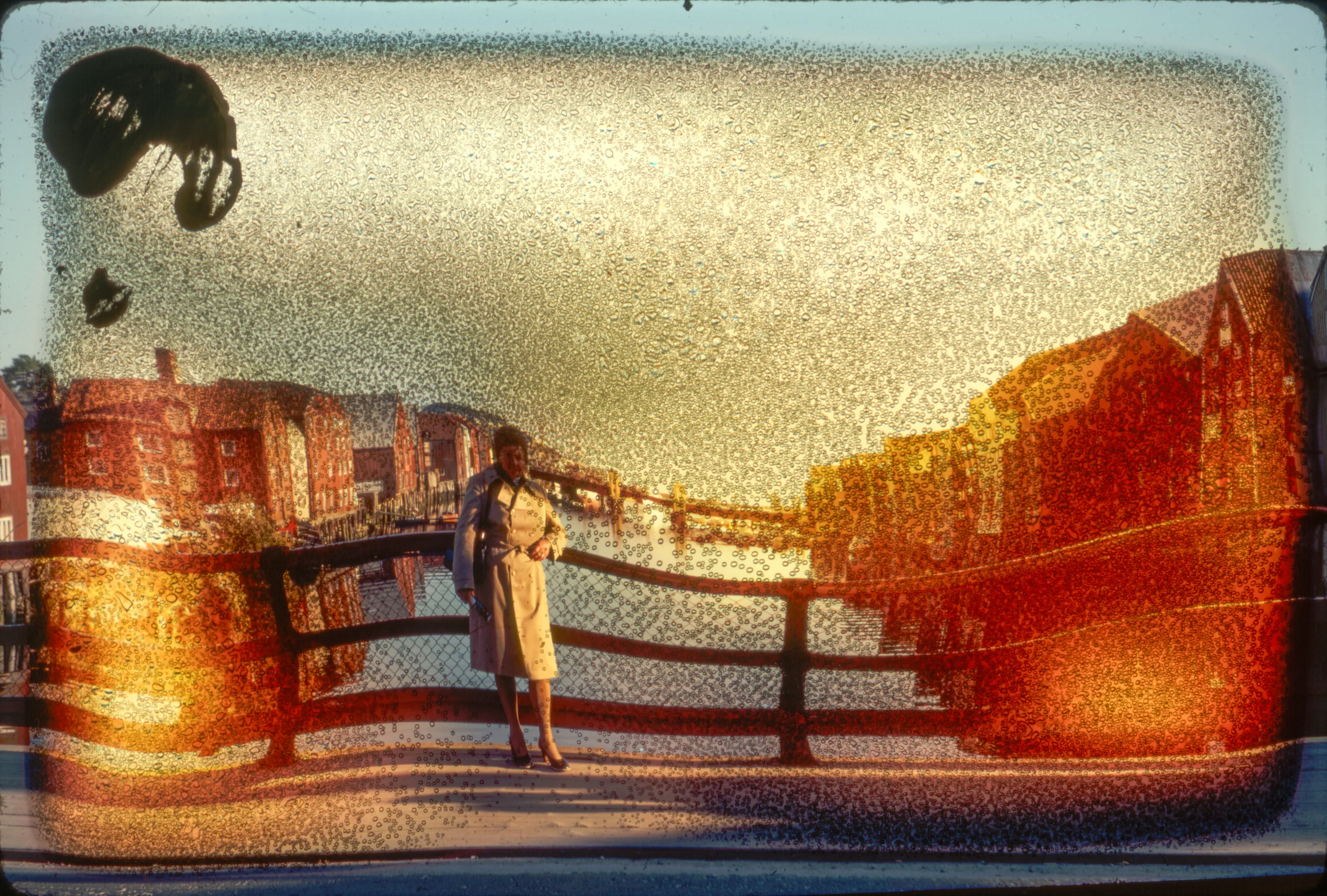 A Bridge to Somewhere, 2025 — work by Austin Settle