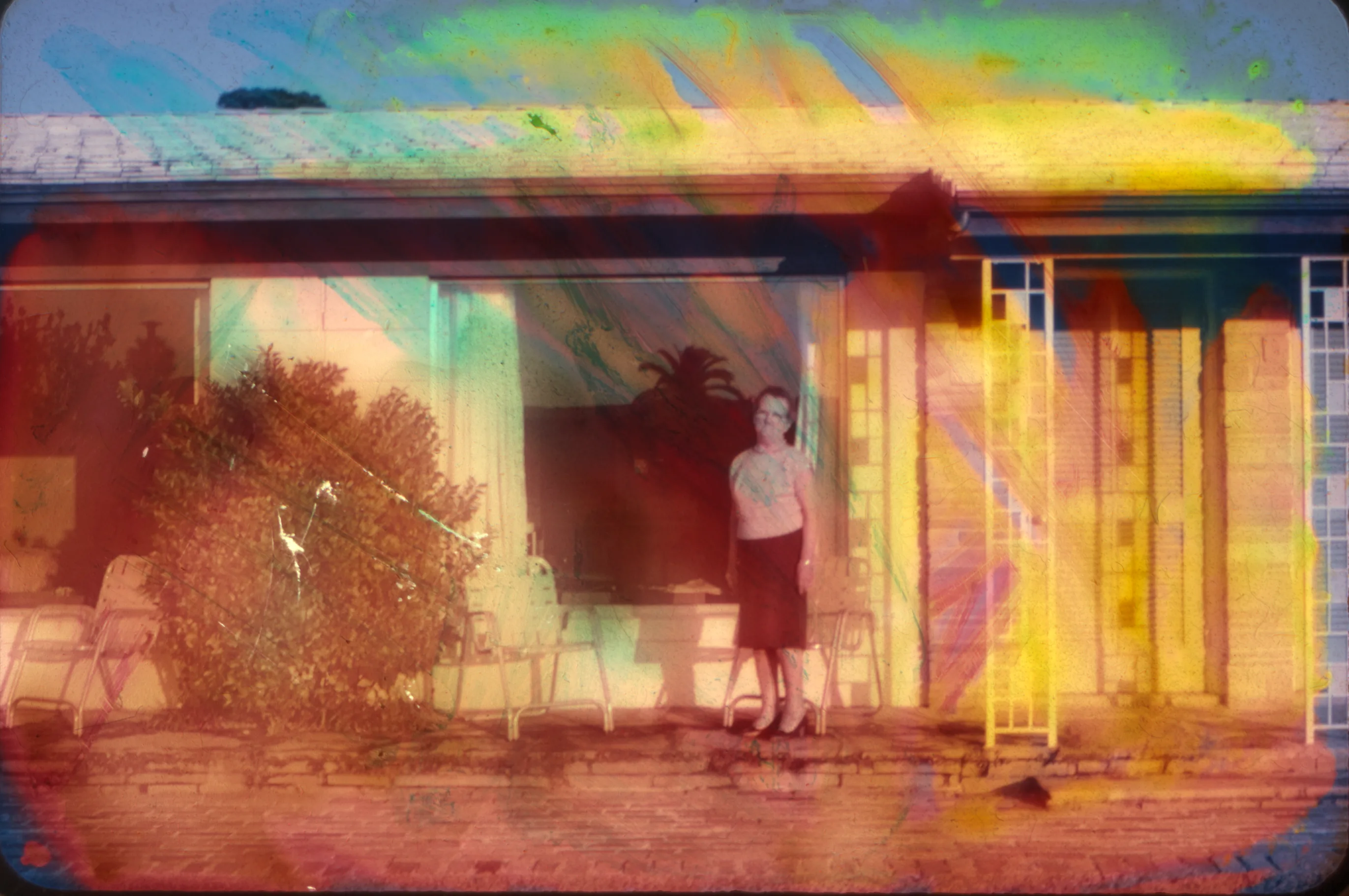 at home — work by Austin Settle