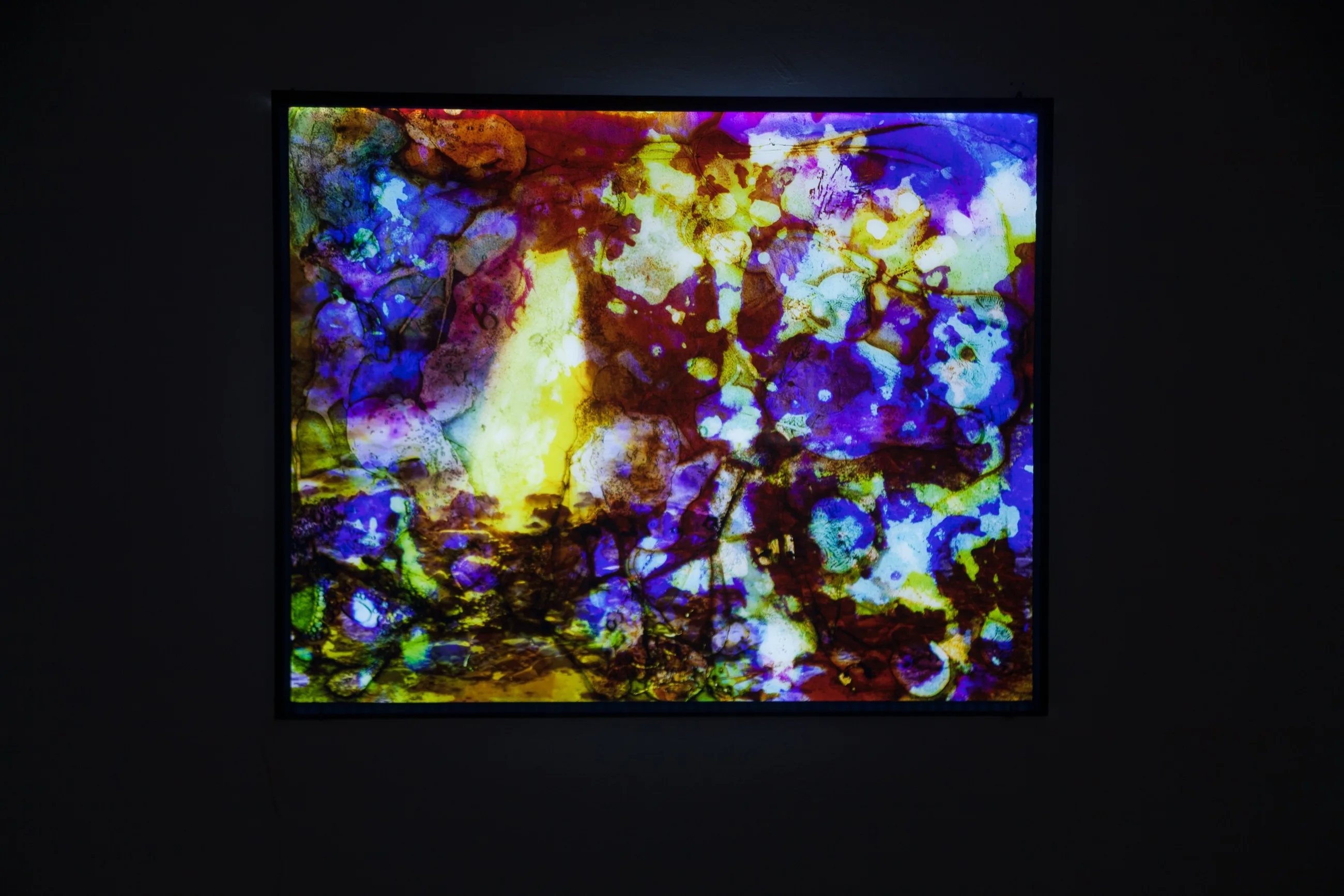 Stream, 2014 — Austin Settle