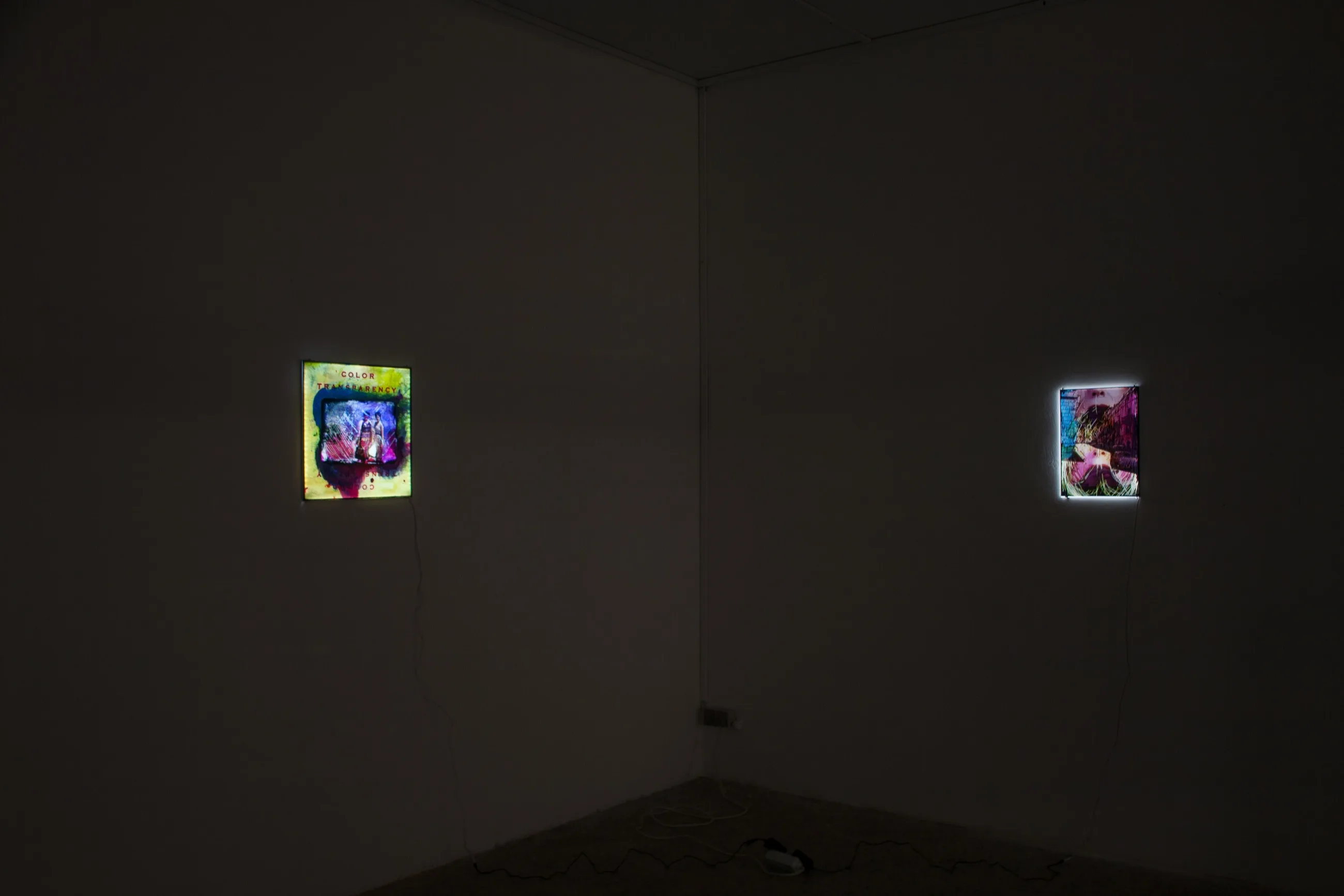 Light Room - Exhibition Detail — work by Austin Settle