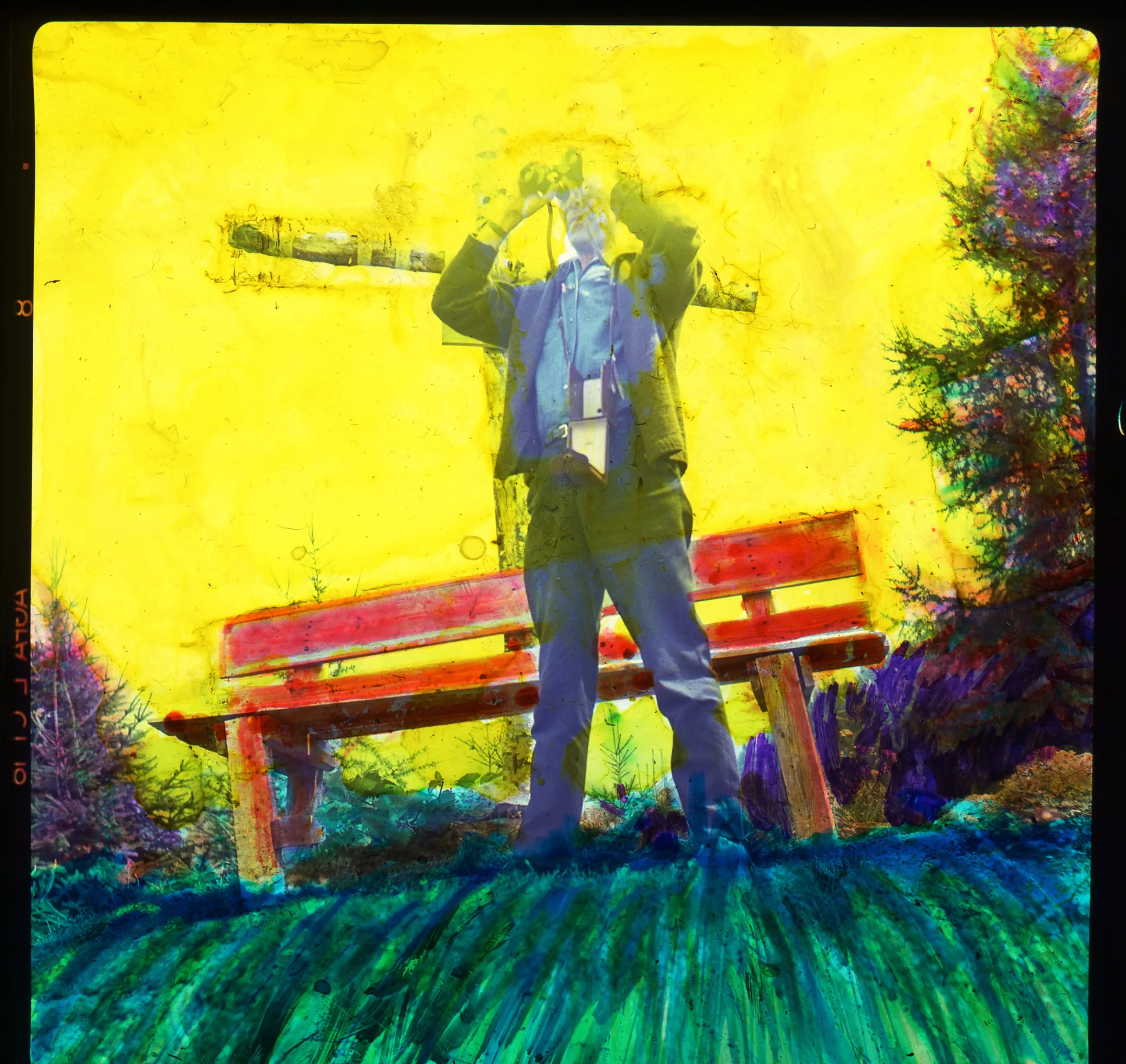 Lookout, 2015 — work by Austin Settle