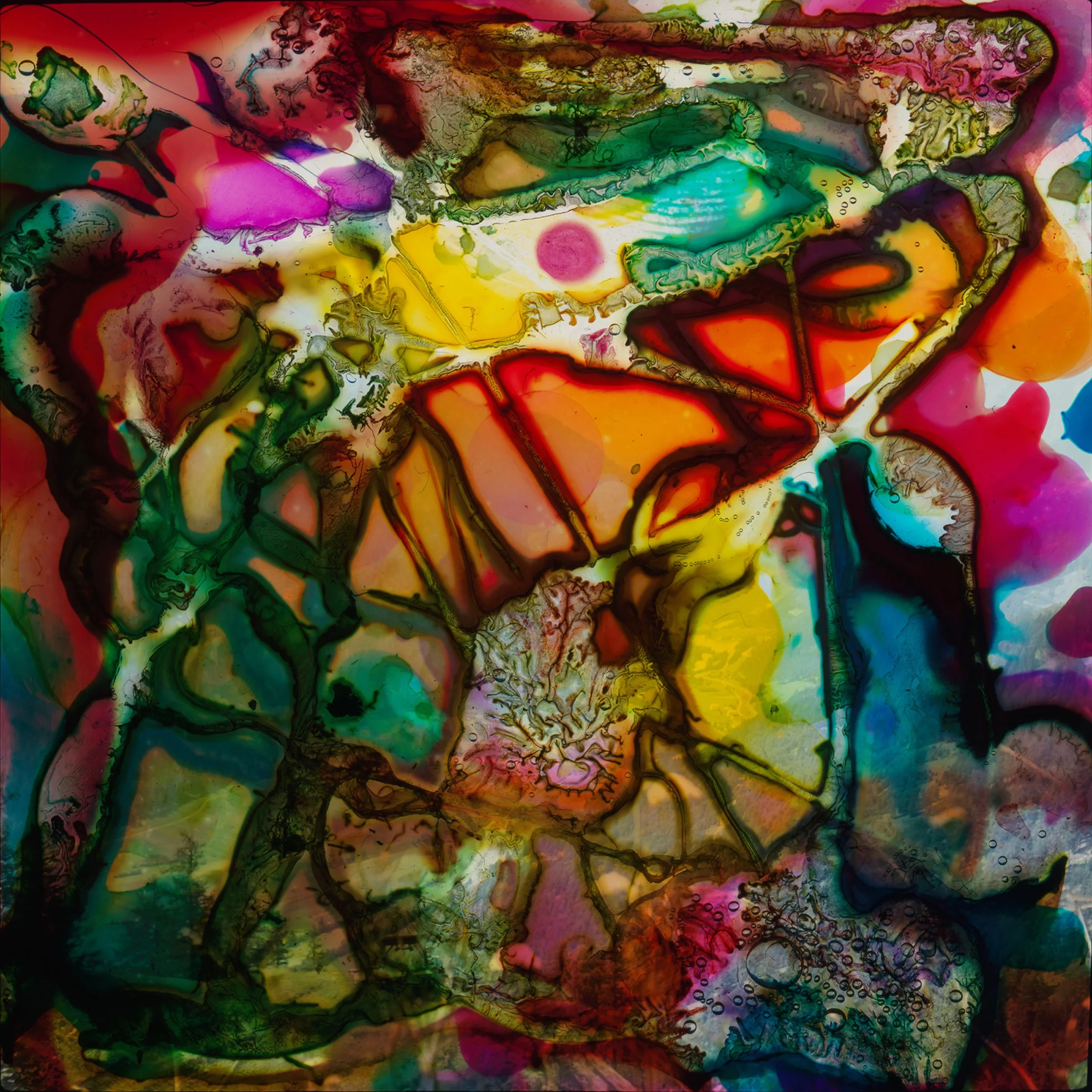 Opal II, 2014 — work by Austin Settle