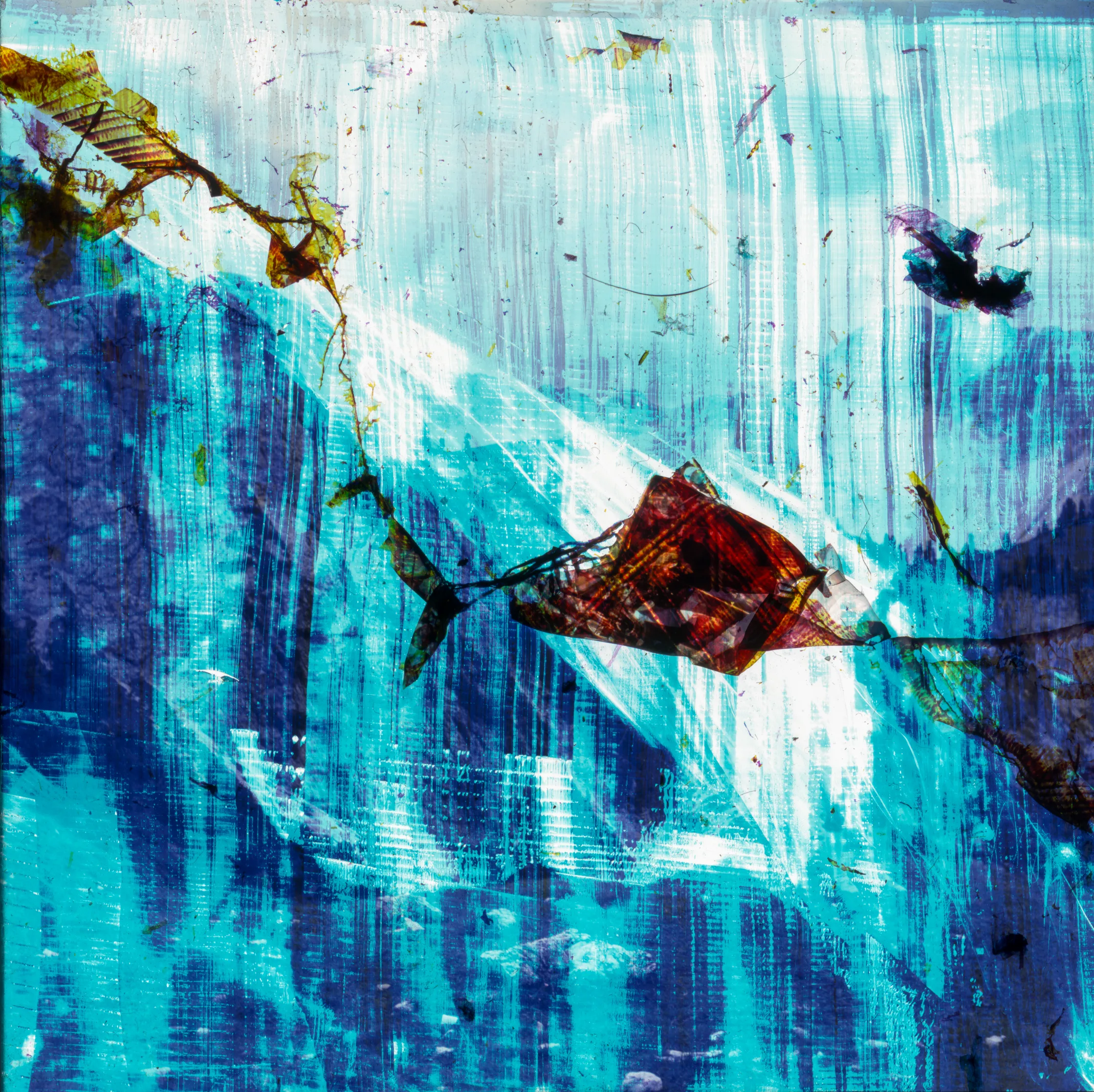 Blue Ravine, 2026 — work by Austin Settle