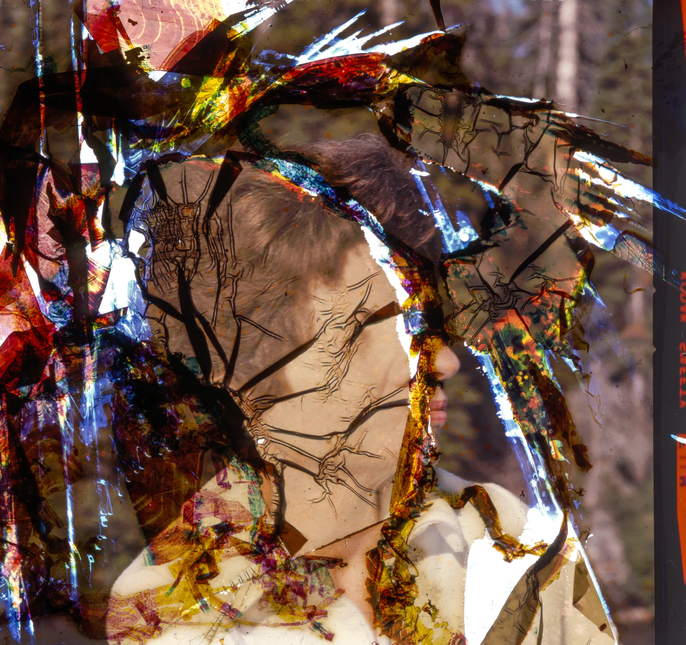 Untitled, 2026 — work by Austin Settle