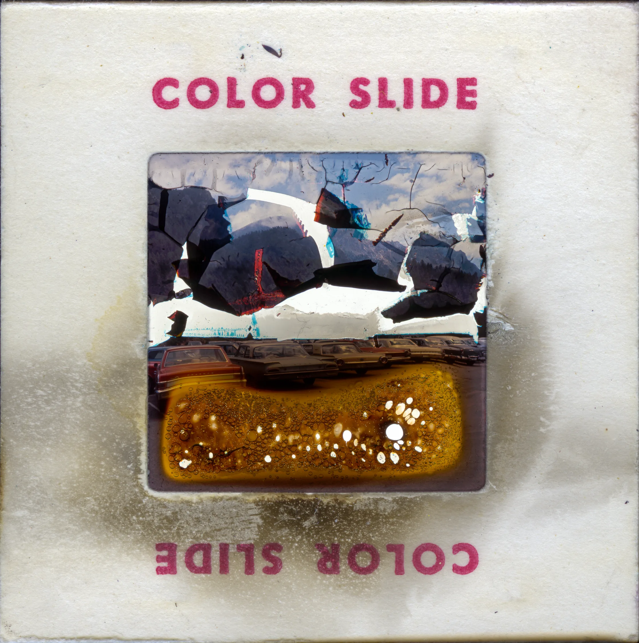 Kodachrome II, 2025 — work by Austin Settle