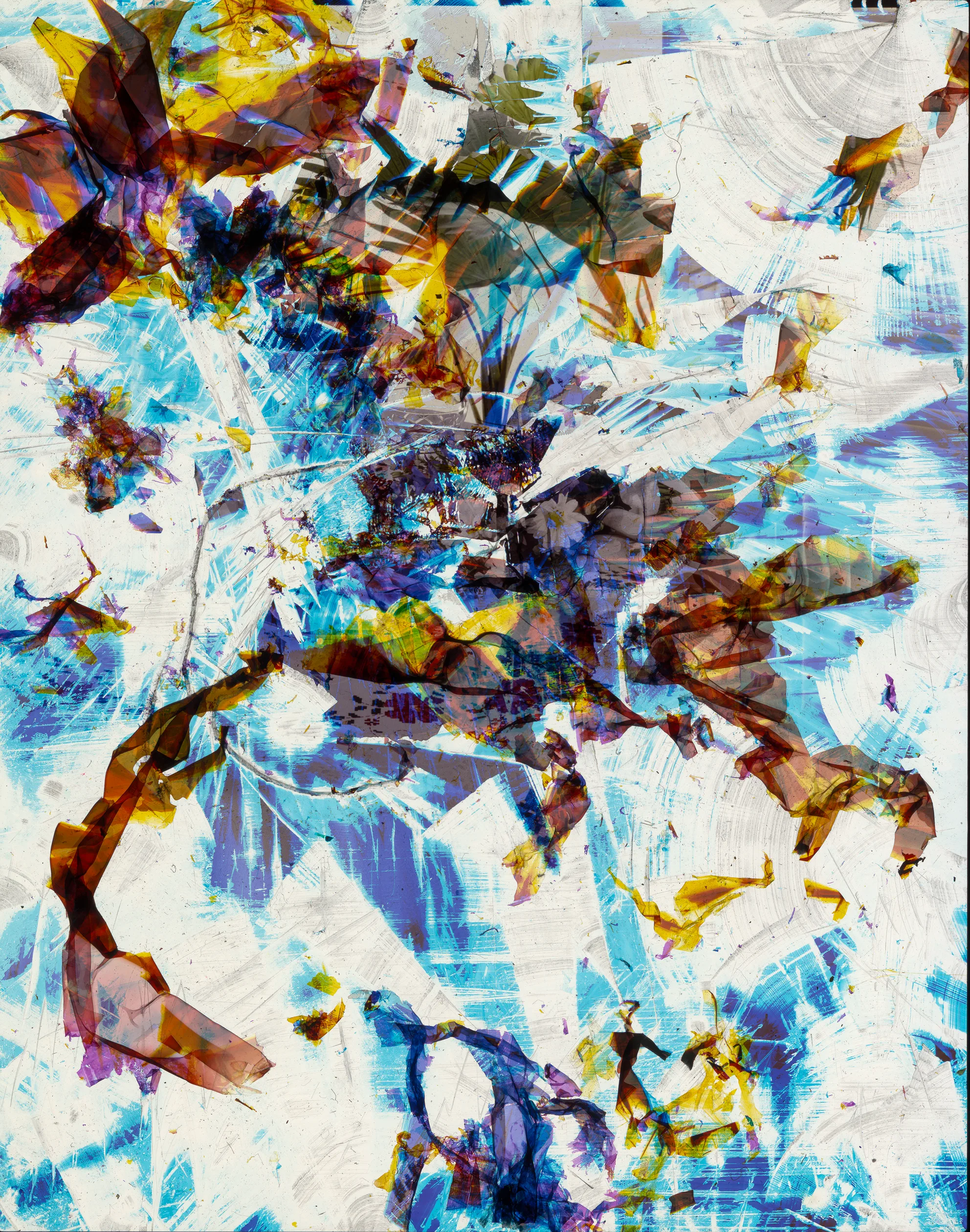 Spectrum 1, 2026 — Austin Settle